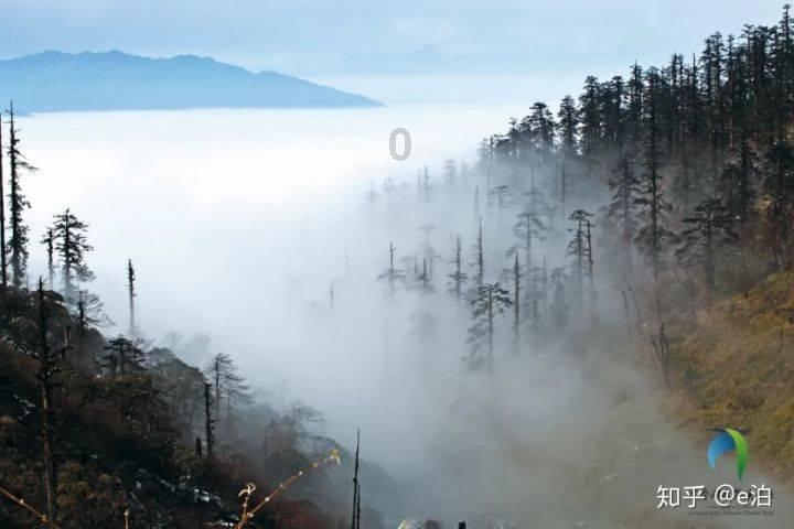 沪江开心词场