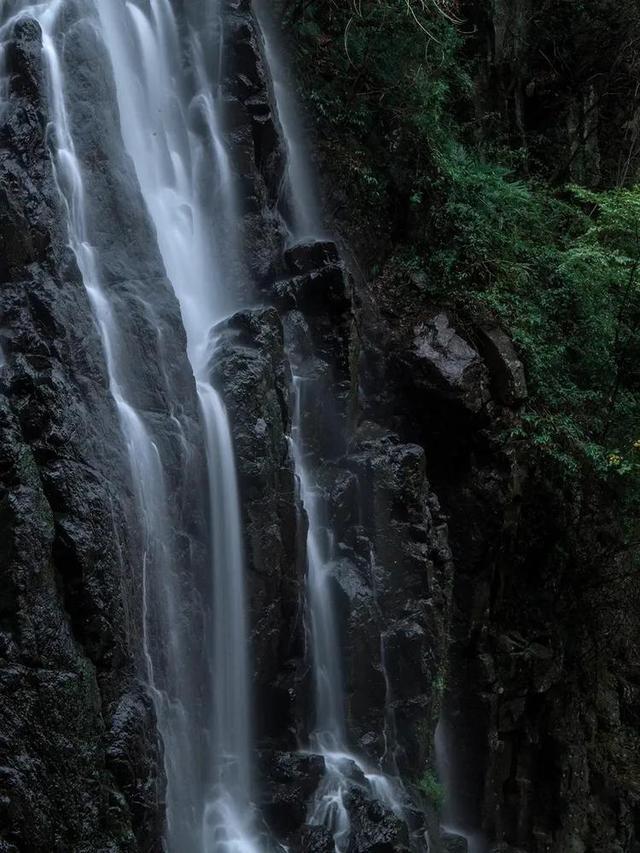 新春走基层丨探访黑龙江抚远蔓越莓规模化种植基地:冰天雪地里的生机勃勃
