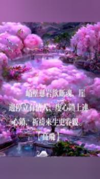 寻找丢失的金币